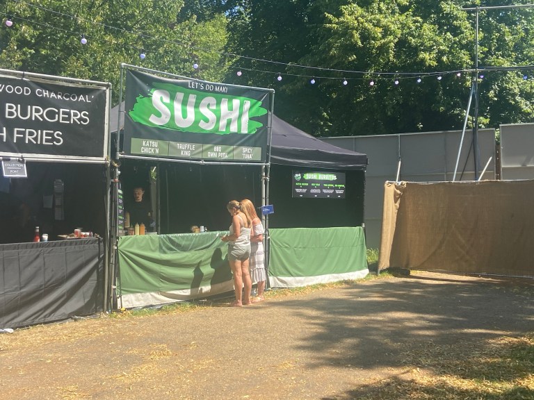 BST Hyde Park: VIP HydeAway – What Is It Like? What Is There? and Is It ...